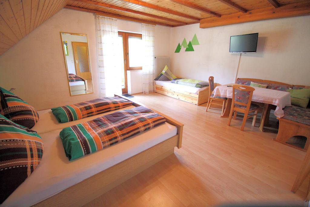 Pension Altvogtshof Айзенбах Номер фото